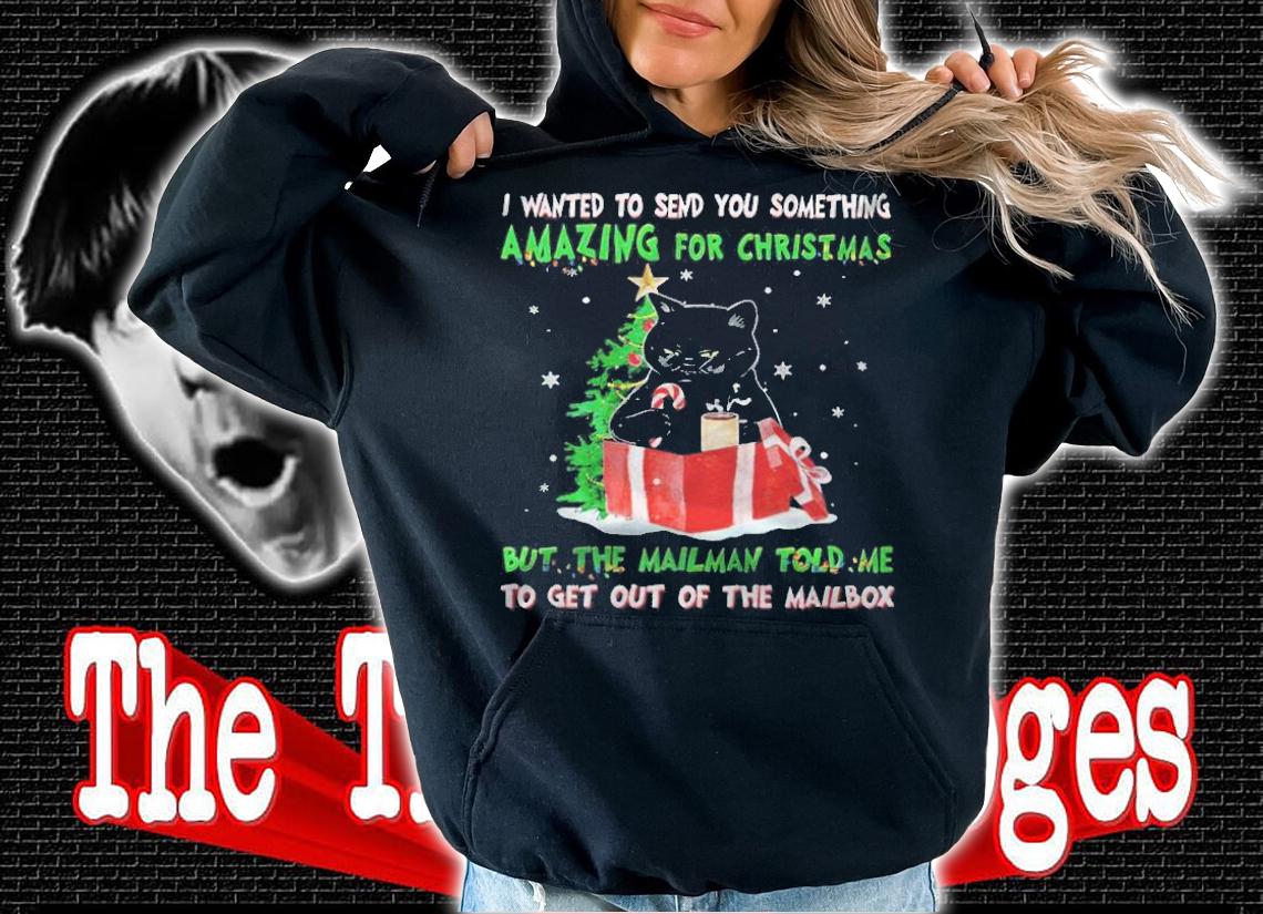 Cat wanted to send you something amazing for Christmas but the mailman told me to get out of the mailbox T-shirt t-shirt hoodie